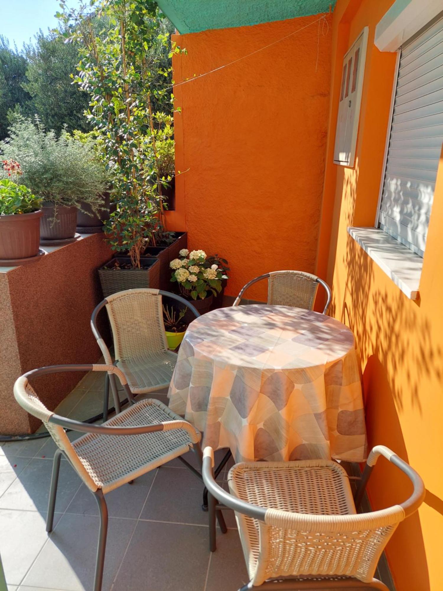 Mexicana Apartment Yellow Zadar Eksteriør billede